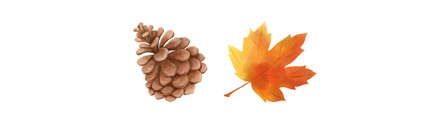 Bild: Herbst